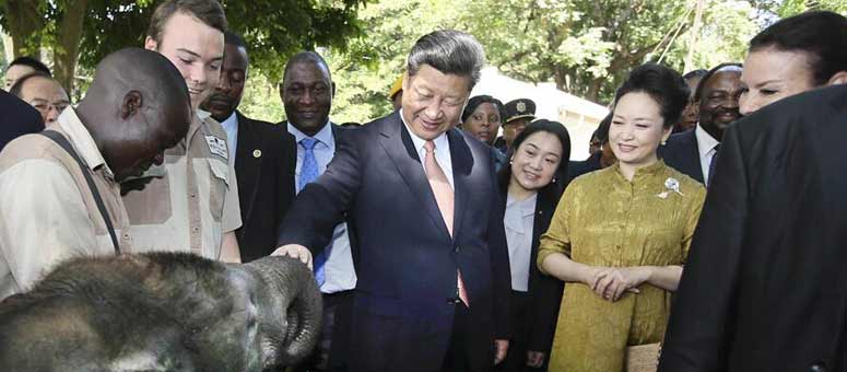 ENFOQUE: Xi reitera compromiso de China con protección de fauna y flora silvestres