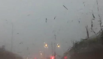 实拍:闪电击中电线杆