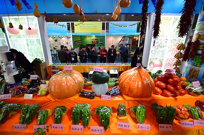Shaanxi: La 25 Feria de Alta Tecnología Agrícola de Yangling