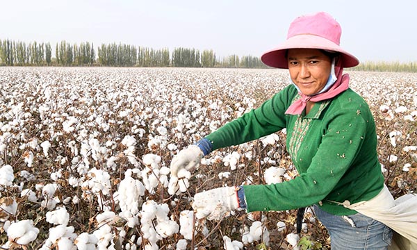 Xinjiang: Awat, el "Pueblo de Algodón" en China