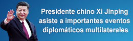 XI出席重大活动