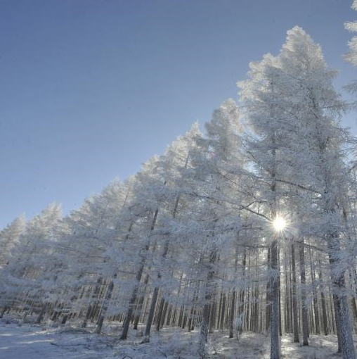 Paisaje invernal de pastura de Yudaokou en Hebei
