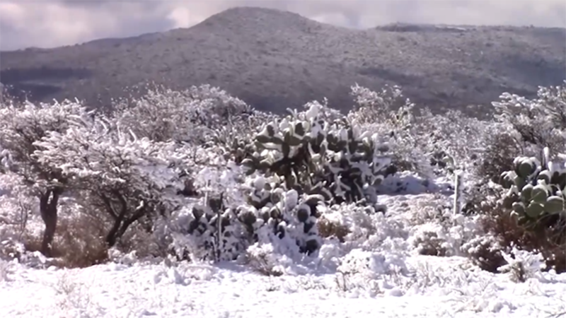 Tormenta invernal deja intensas nevadas en Durango reportan -14 grados