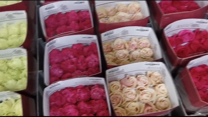 Flores colombianas seguirán presentes en San Valentín pese a la pandemia