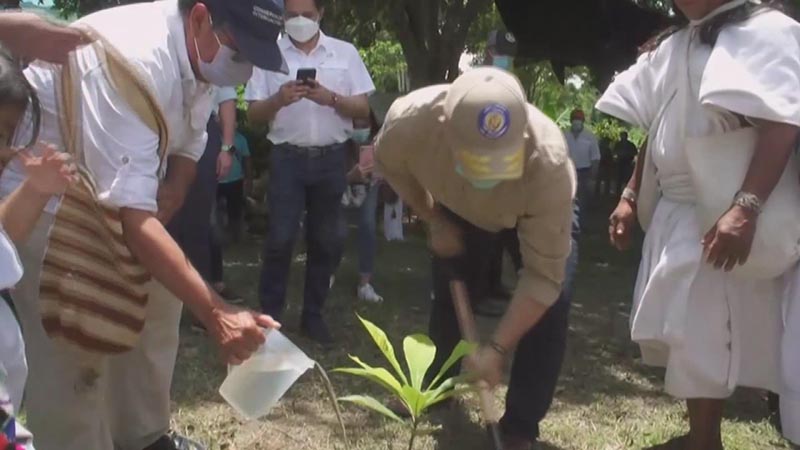 Presidente colombiano anuncia millonaria inversión para reforestar Sierra Nevada de Santa Marta