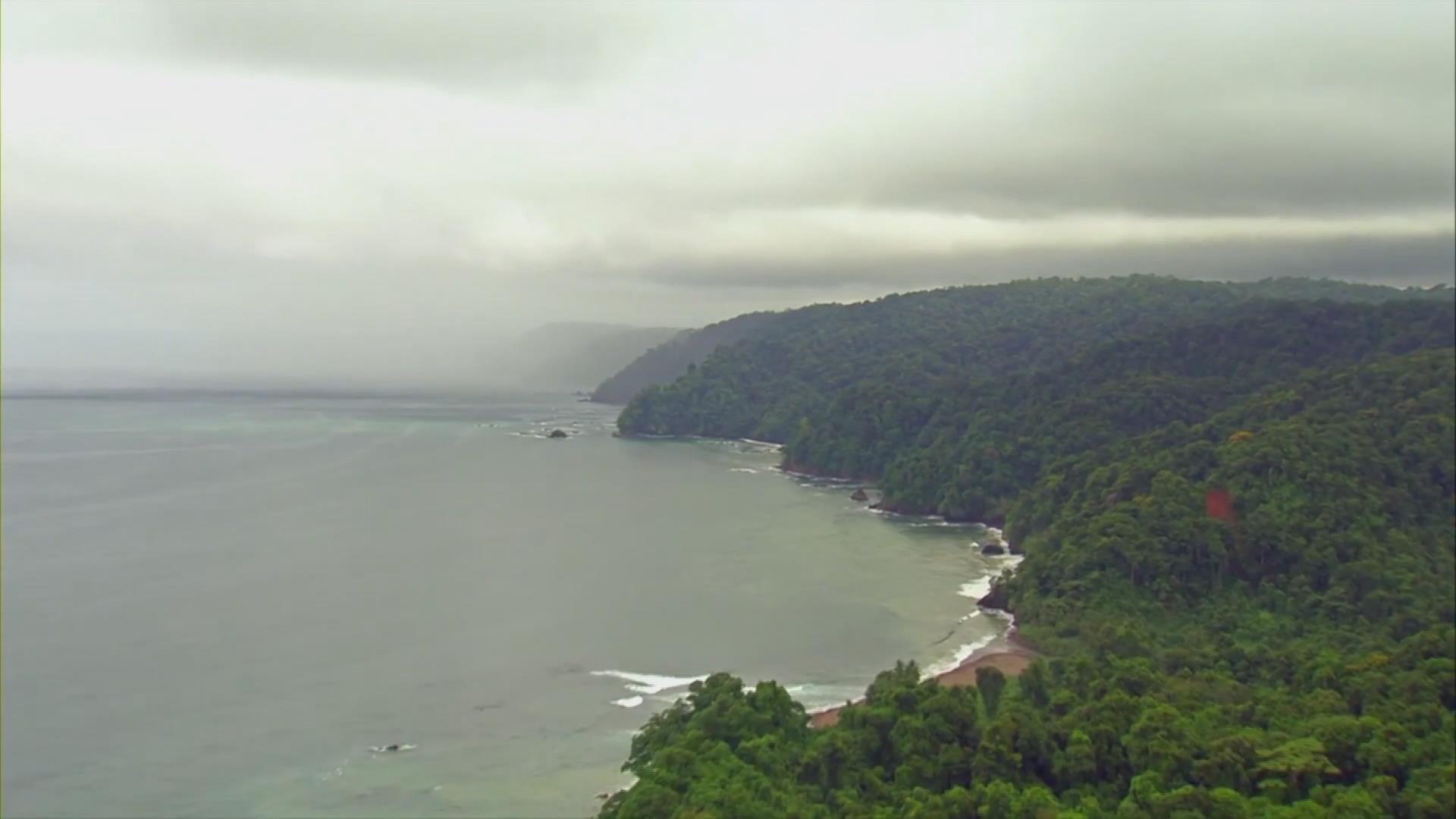 Panamá aumenta zonas protegidas marinas