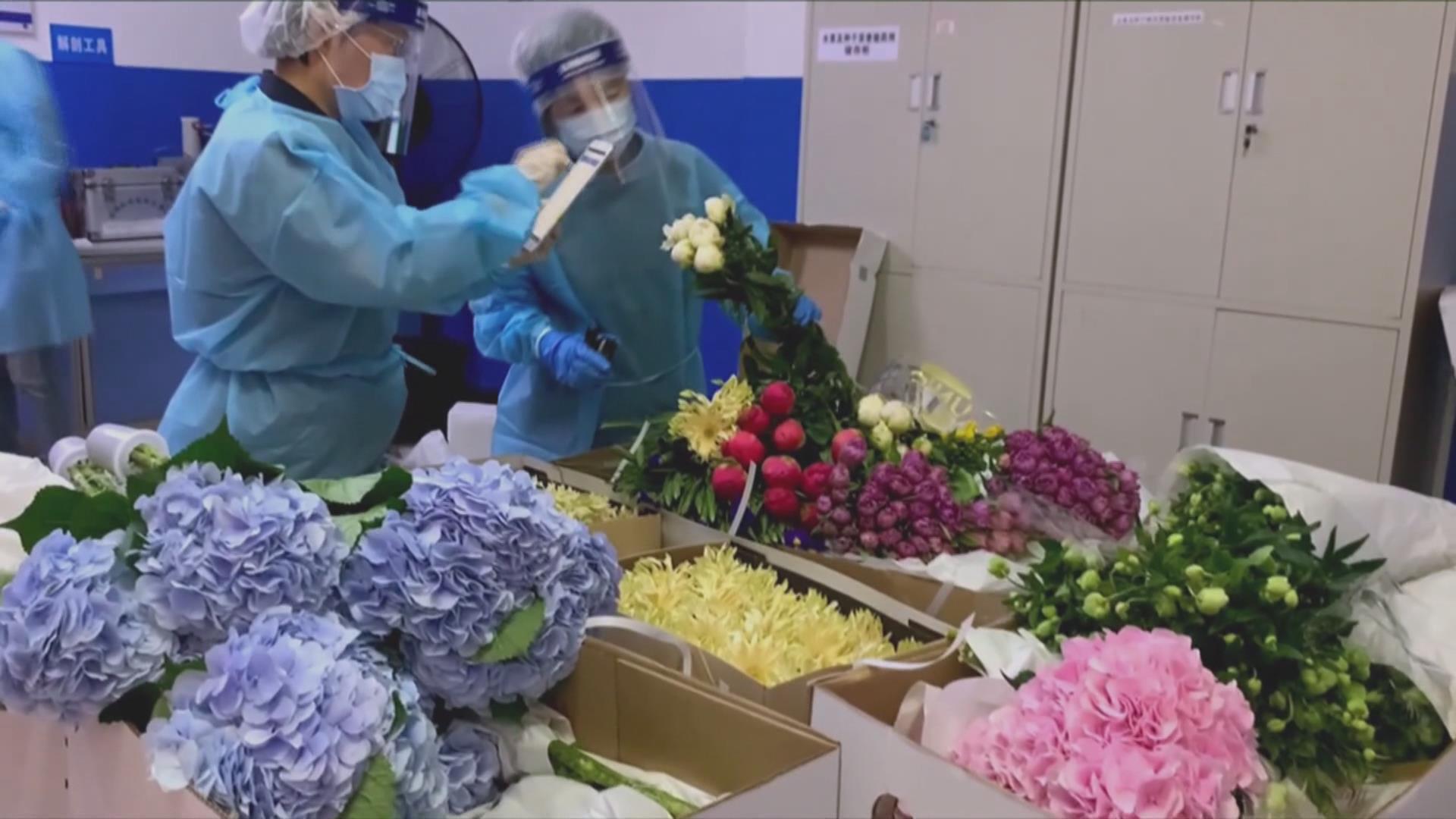 El largo viaje de las flores desde Ecuador a China