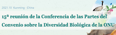 2021生物多样性大会
