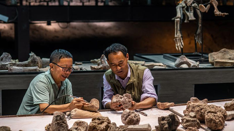 Yunnan: Cantera de Fósiles de Dinosaurios de Lufeng