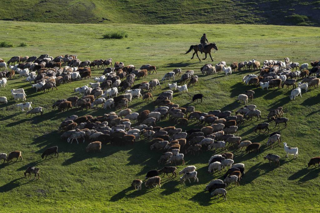 Xinjiang: Pastura de verano en la montaña Barlik
