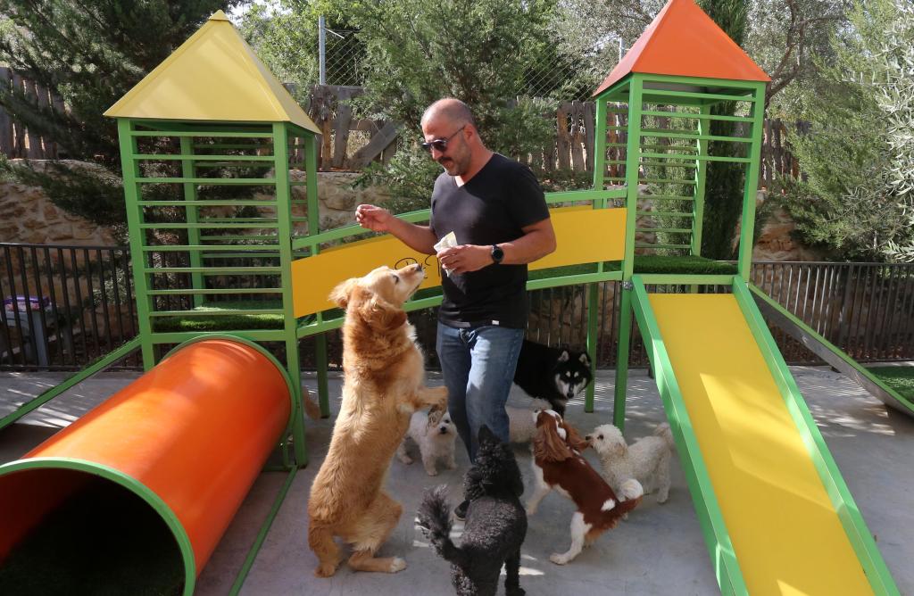 Primer hotel para mascotas en Birzeit, Ramallah