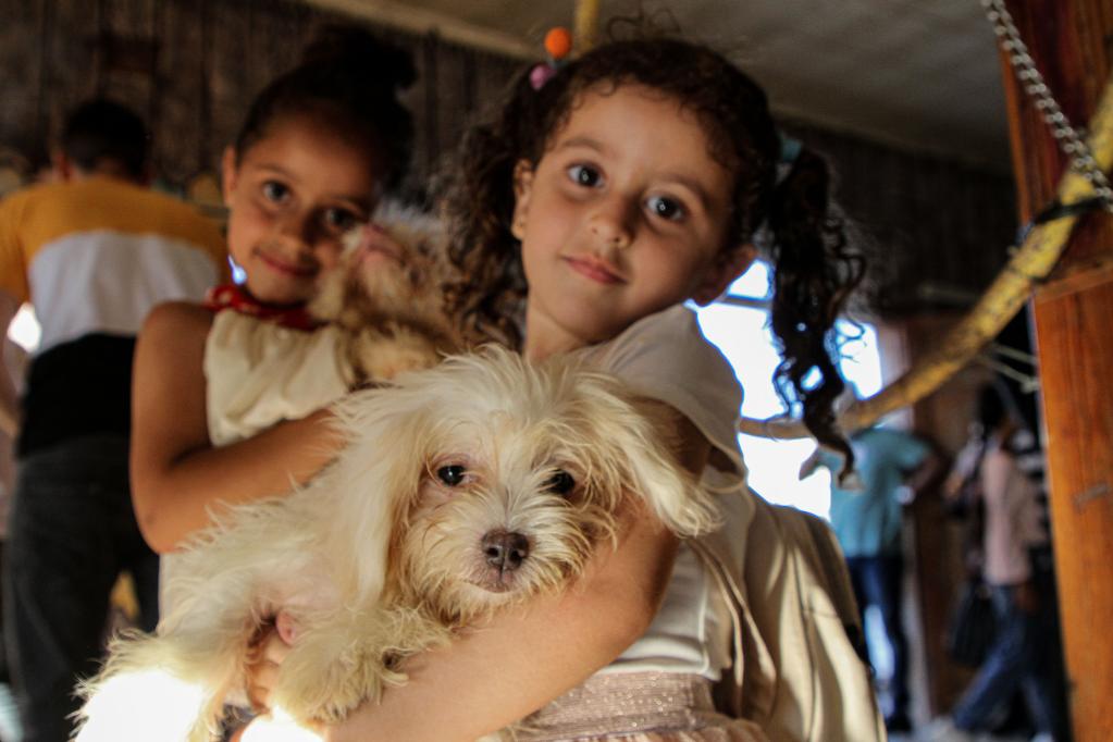 Exposición de mascotas en la Ciudad de Gaza