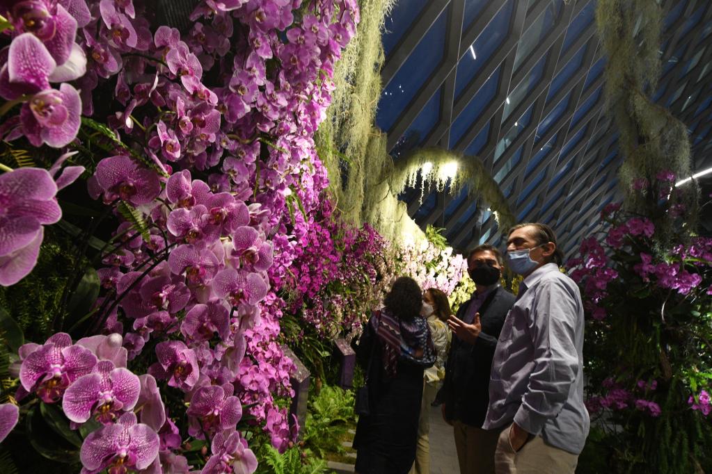 Exposición "Refugio de Orquídeas" en Singapur