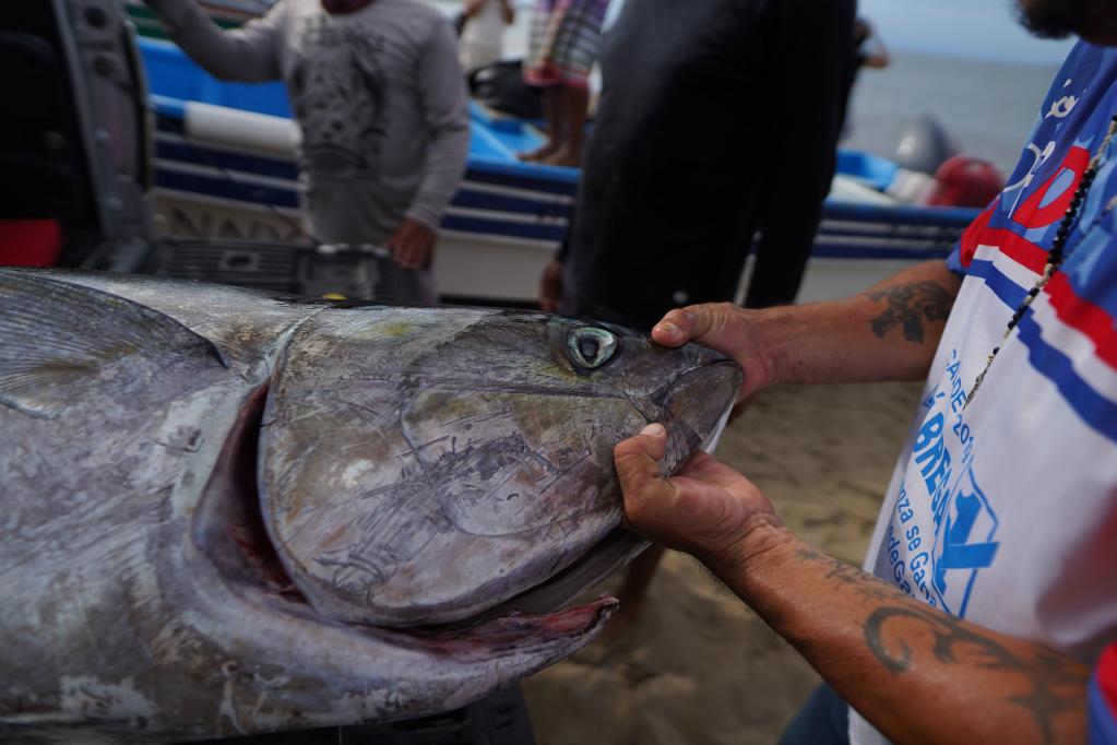 Vida de pescadores en comunidad de Pedasí, Panamá