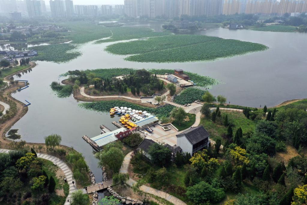 Hebei: Se construyen más de 20 parques en Hejian junto con impulso de desarrollo ecológico