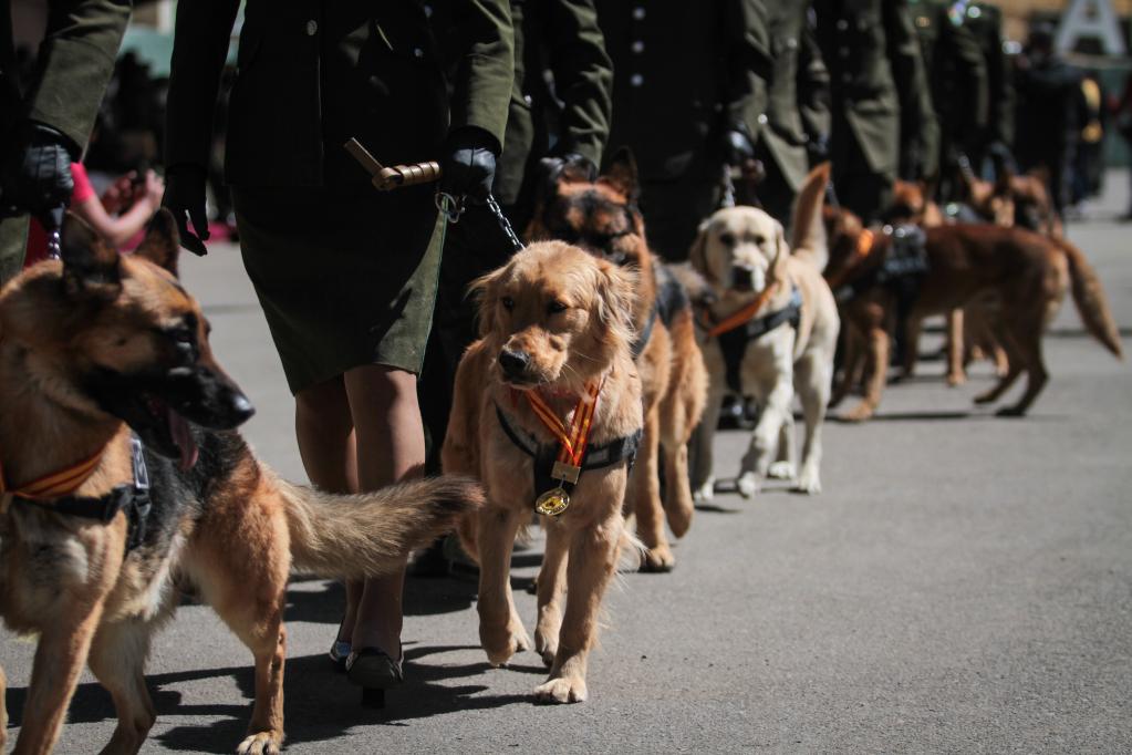 Homenaje a perros policía en Bolivia