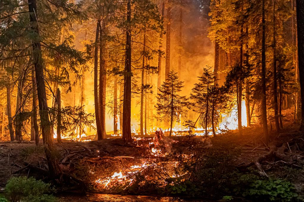 Estados Unidos: Incendio Caldor en condado de El Dorado