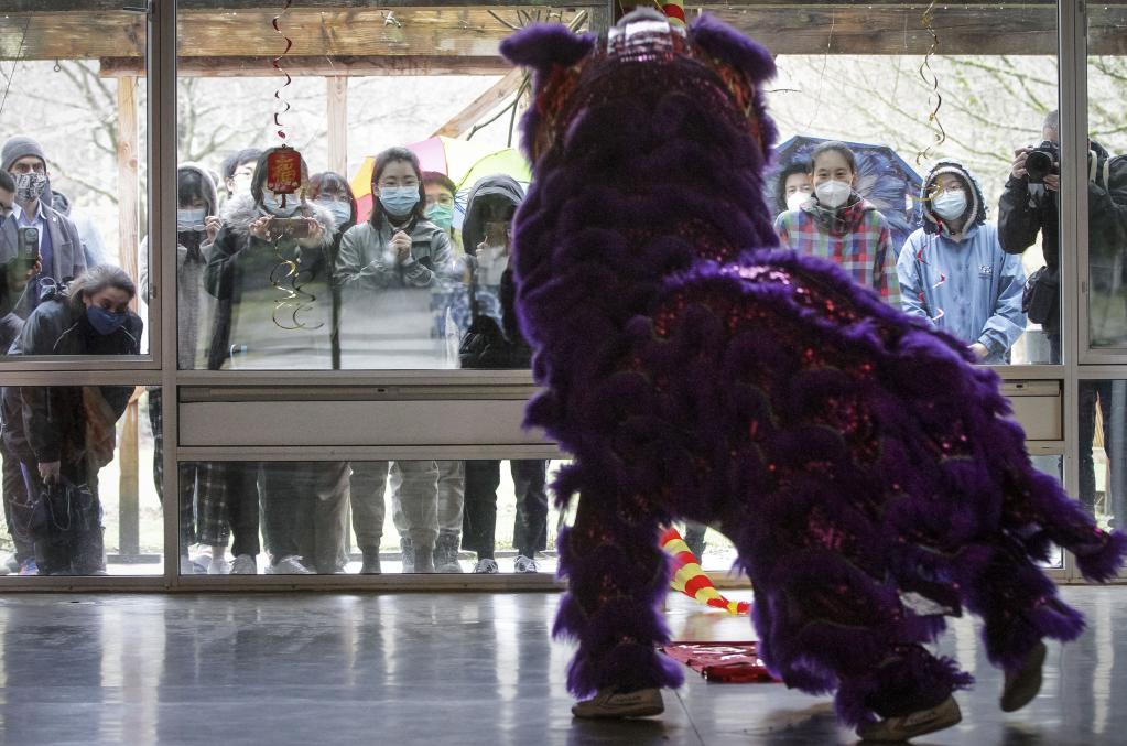 Canadá: Danza del león se presenta en Vancouver