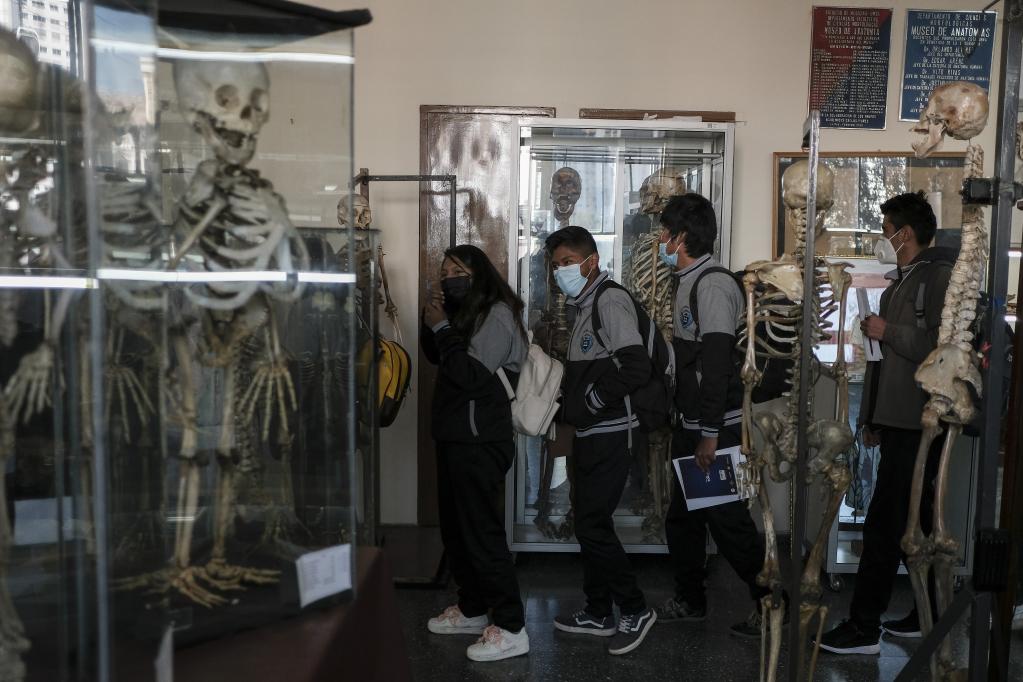 Museo de Anatomía de la Universidad Mayor de San Andrés en La Paz, Bolivia