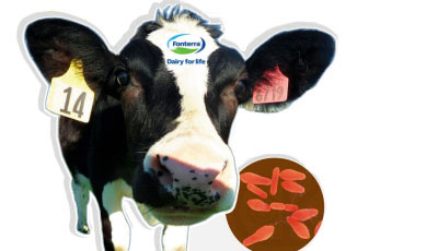 La empresa Fonterra de Nueva Zelanda retira miles de productos lácteos por una posible intoxicación