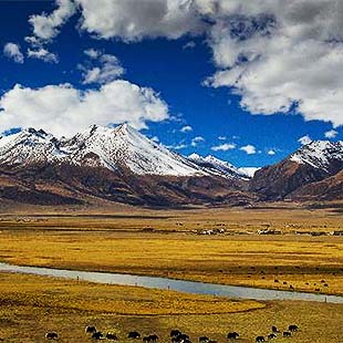 Otoño en la meseta de Chang Tang