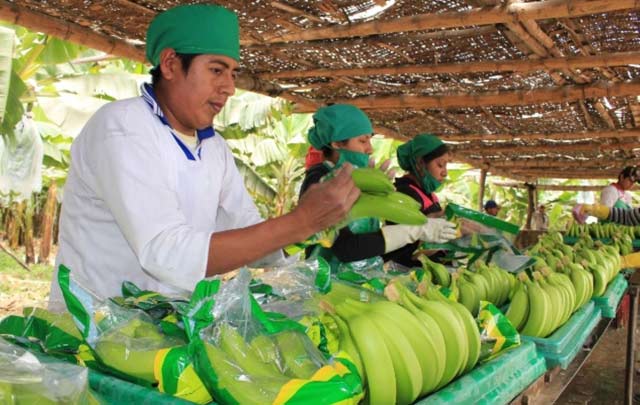 Festival gastronómico impulsa consumo de granos andinos