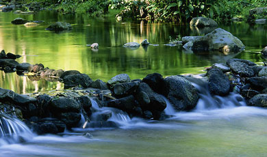 瓜熟蒂落,水到渠成。guā shú dì luò , shuǐ