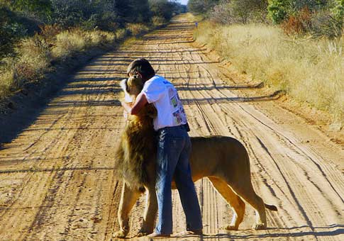Hombre africano y su mascota, león Zion