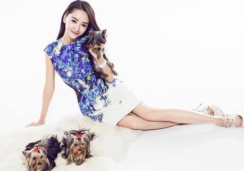 Actriz Yang Rong posa para revista con perros