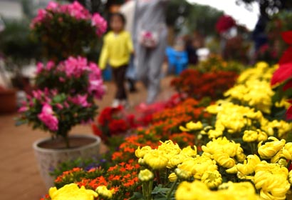 ¡Ya llega la primavera!