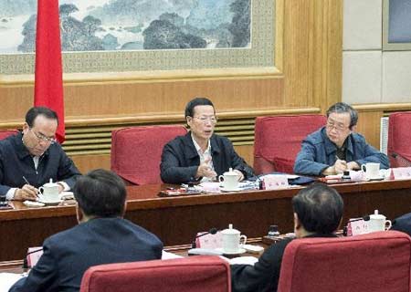 Viceprimer ministro chino impulsa Cinturón Económico del Río Yangtsé