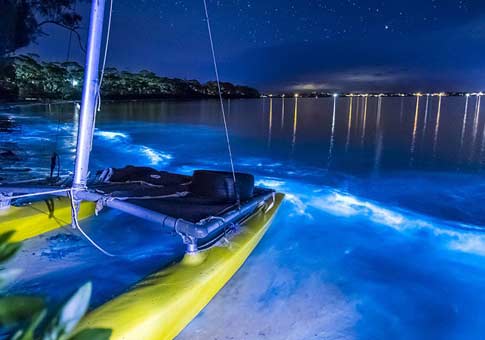 Misteriosas aguas fluorescentes en las playas de Australia