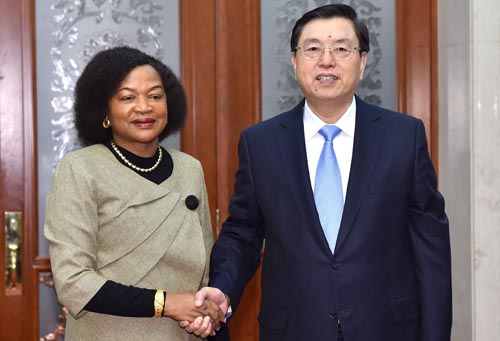 China y Sudáfrica definen dirección de sus relaciones legislativas más sólidas
