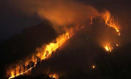 Se eleva a 23 número de muertos por incendios forestales en sur de Rusia