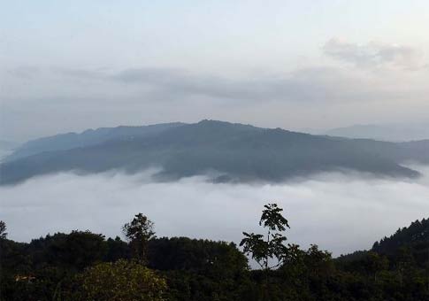 Mar de nube en montaña Jingmai, Yunnan