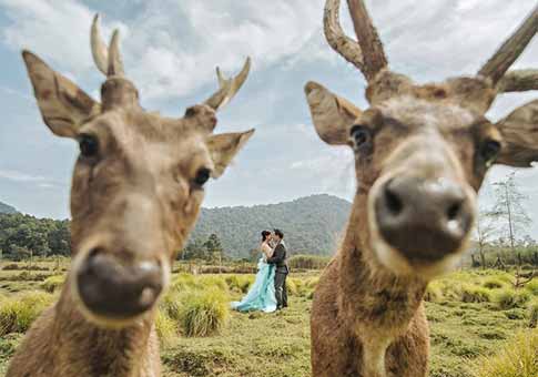 Fotos de boda impresionantes