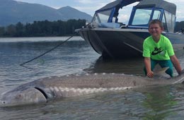 Joven canadiense de 9 años atrapa un esturión blanco de 272 kilos