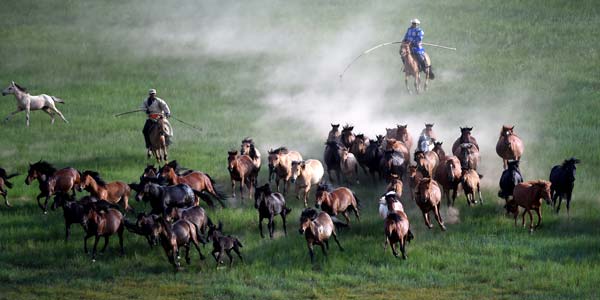 Fotos de caballos en praderas de Xilin Gol