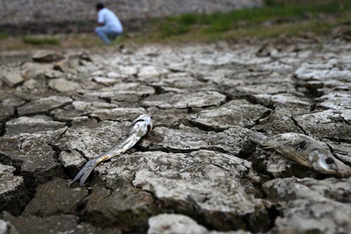 Un total de 248.500 personas carecen de agua en noreste de China por sequía