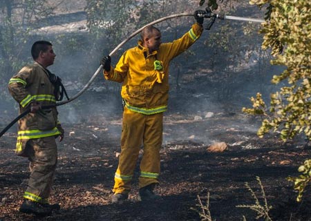 Israel combate el mayor incendio forestal de 2015