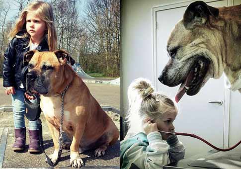 Fotos de una niña holandesa y su perro