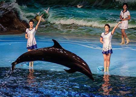 Sirena baila con delfines: Acuario de RPDC