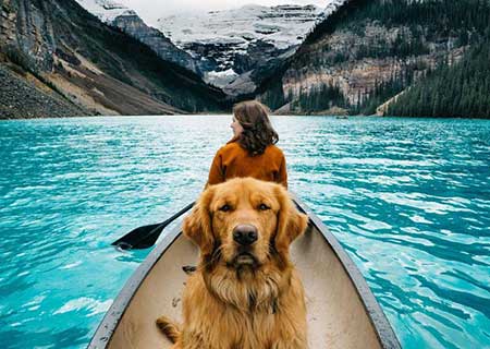 Perro viajero Aspen viaja por Norte América