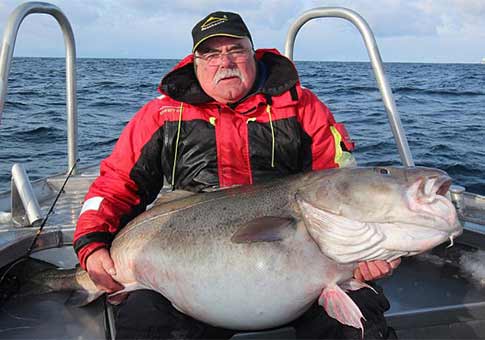 Bacalao capturado de 42 kilos