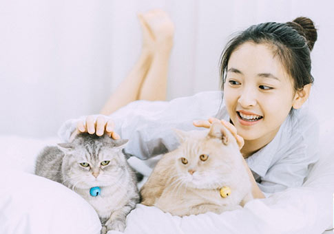 Imágenes de actriz Wu Qiang y gatos
