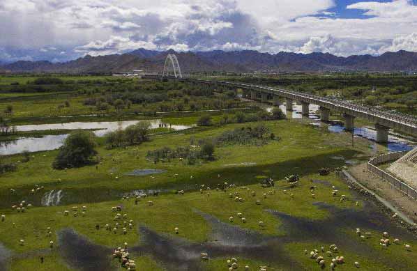 China establece nuevos objetivos de conservación de tierras de cultivo