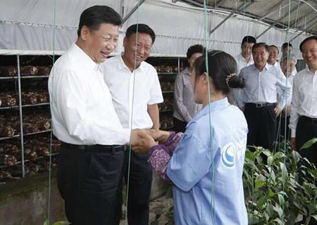 Xi enfatiza seguridad en combate a inundaciones