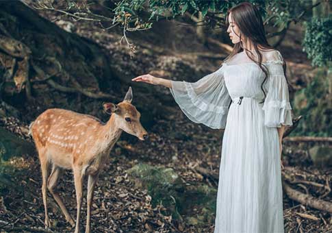 Fotos de actriz Wen Xin y ciervo