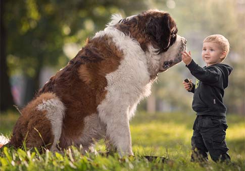 Fotos de niños y perros grandes