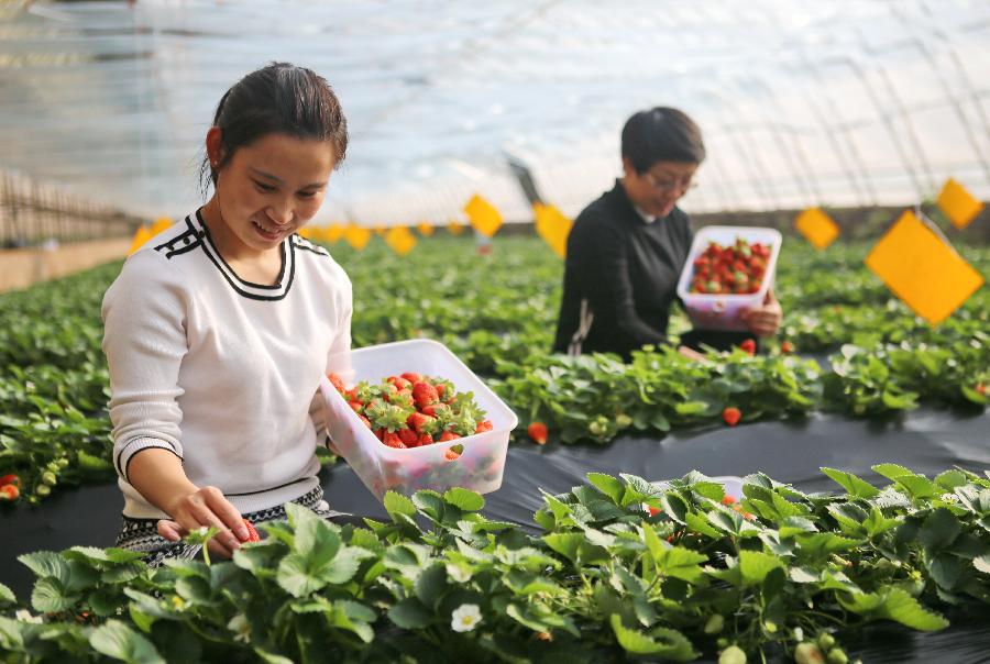 China impulsará reforma agrícola
